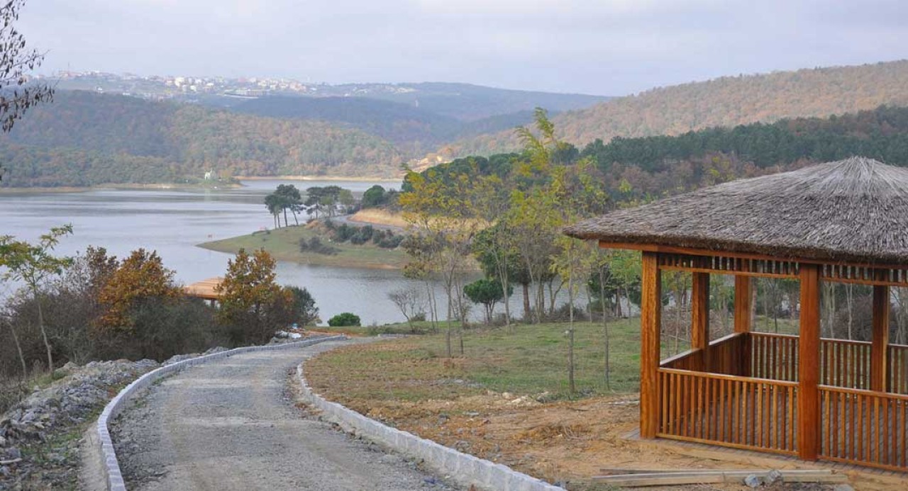 Uluslararası Kent Ormanı Projesi Eyüp'te Açılıyor