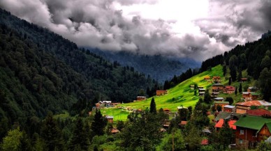 Araplar Karadeniz'de Konut ve Fındık Bahçelerine Yöneldi