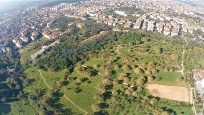 Validebağ Korusu Millet Bahçesi Oluyor