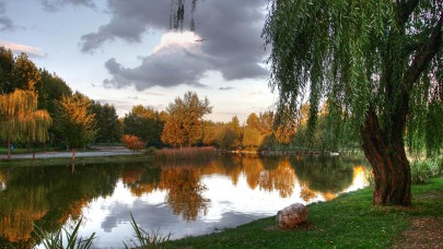 Soğanlı Botanik Parkı'nın Statüsü Değişti