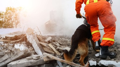 Konut Alırken Deprem Gerçeğini Unutmamalıyız